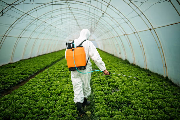Best Affordable Pest Control Services  in Shakopee, MN