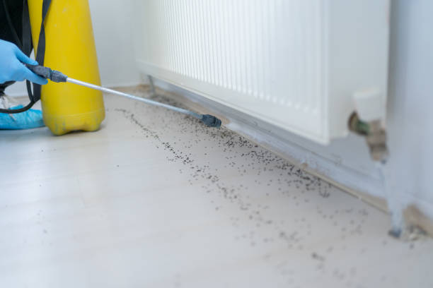Pest Control for Restaurants in Shakopee, MN