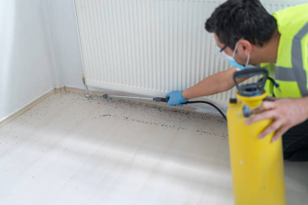 Best Mosquito Control Services  in Shakopee, MN